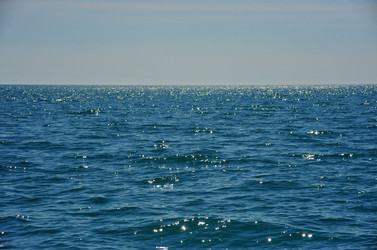 Similar image 22455179