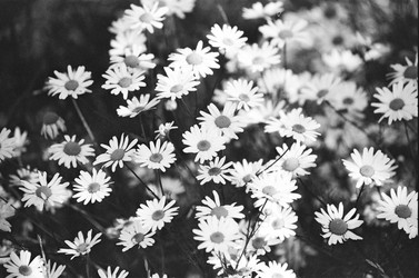 Similar image 22452821