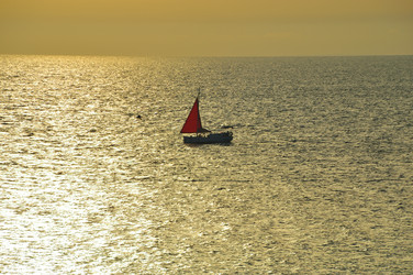 Similar image 22455183