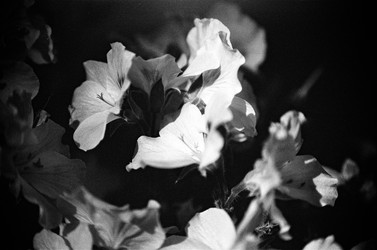 Similar image 22452822