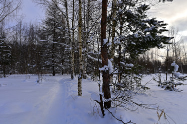 Similar image 22455184