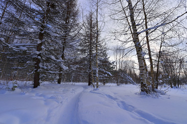 Similar image 22455190