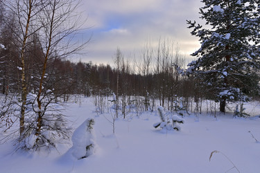 Similar image 22455191