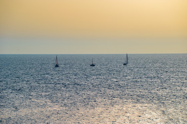 Similar image 22455192