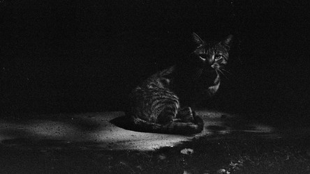 Similar image 22452684