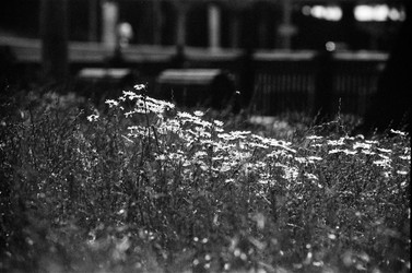 Similar image 22452686