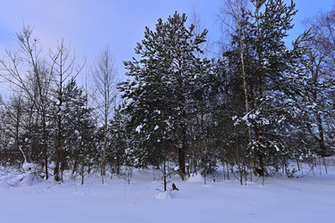 Similar image 22455168