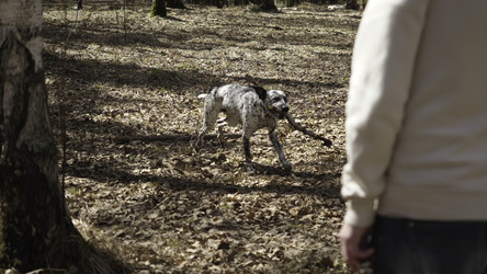 Similar image 22465655