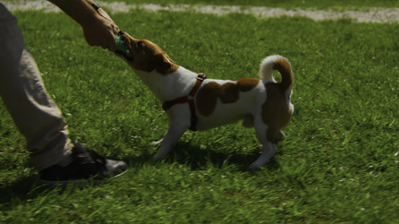 Similar image 22465656