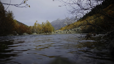 Similar image 22473450