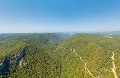 Similar image 22452963