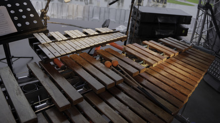 Similar image 22466905