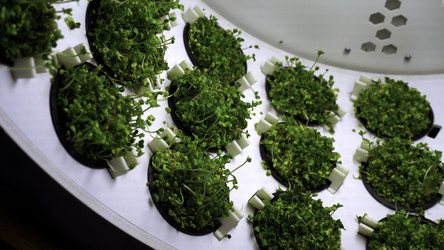 Similar image 22466935