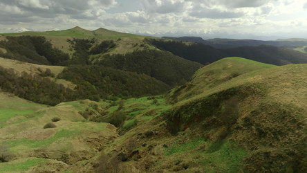 Similar image 22466936