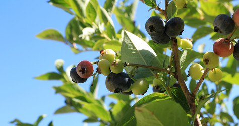 Similar image 22452496