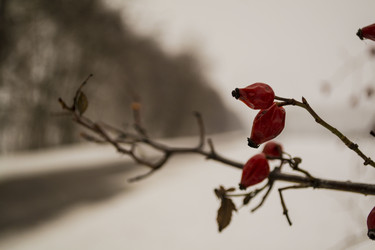 Similar image 22456420