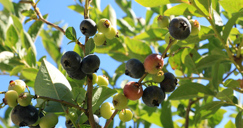 Similar image 22452478