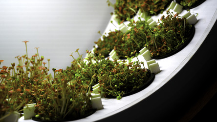 Similar image 22466470