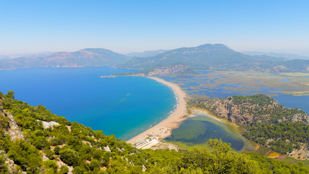 Similar image 22453064