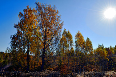 Similar image 22453847