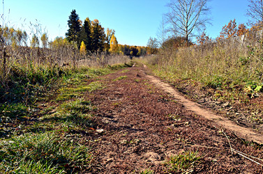 Similar image 22453848