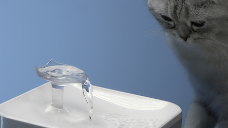 Similar image 22467326