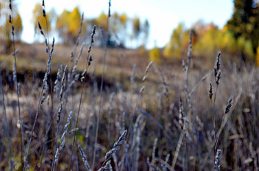 Similar image 22453772