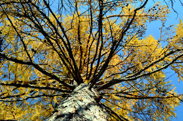 Similar image 22453773