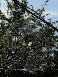 Similar image 22454565