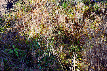 Similar image 22453775