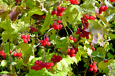 Similar image 22453777