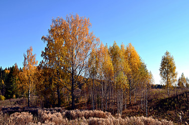 Similar image 22453778