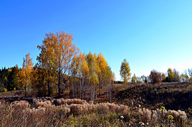 Similar image 22453780