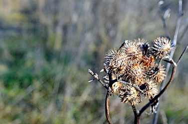 Similar image 22453782