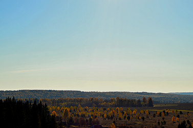 Similar image 22453783