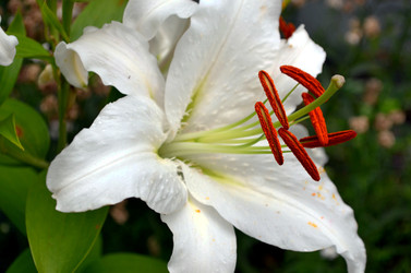 Similar image 22453787