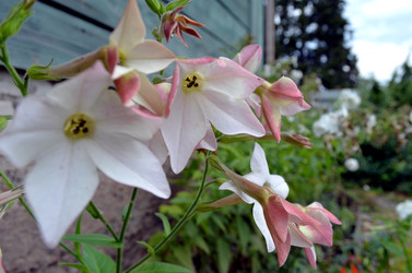 Similar image 22453788