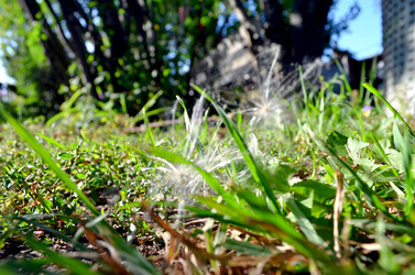 Similar image 22453791