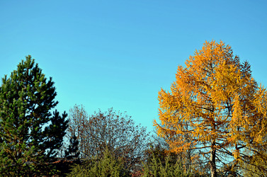 Similar image 22453793