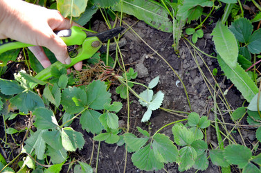 Similar image 22453795