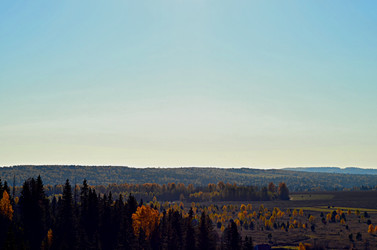 Similar image 22453796