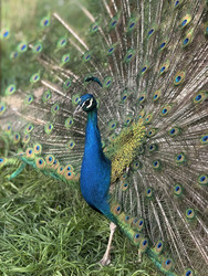 Similar image 22454566