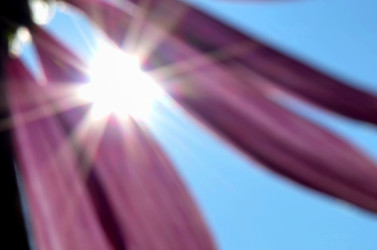 Similar image 22453850