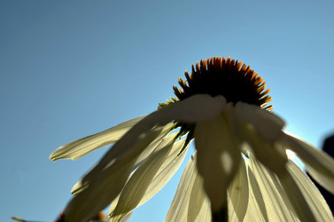 Similar image 22453852