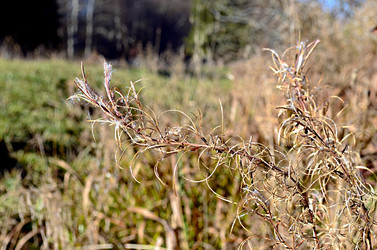 Similar image 22453853