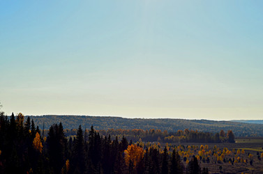 Similar image 22453854