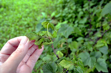 Similar image 22453855