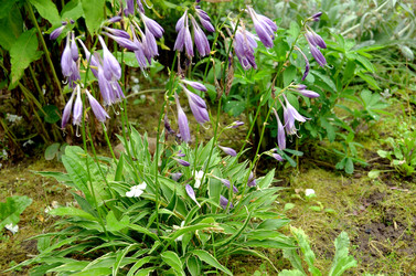 Similar image 22453857