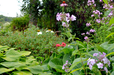 Similar image 22453858