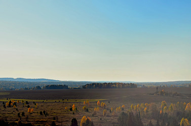 Similar image 22453859